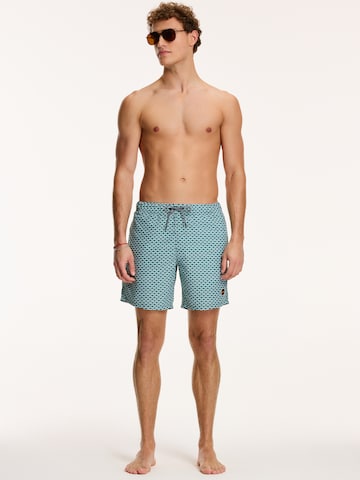 Shorts de bain Shiwi en vert