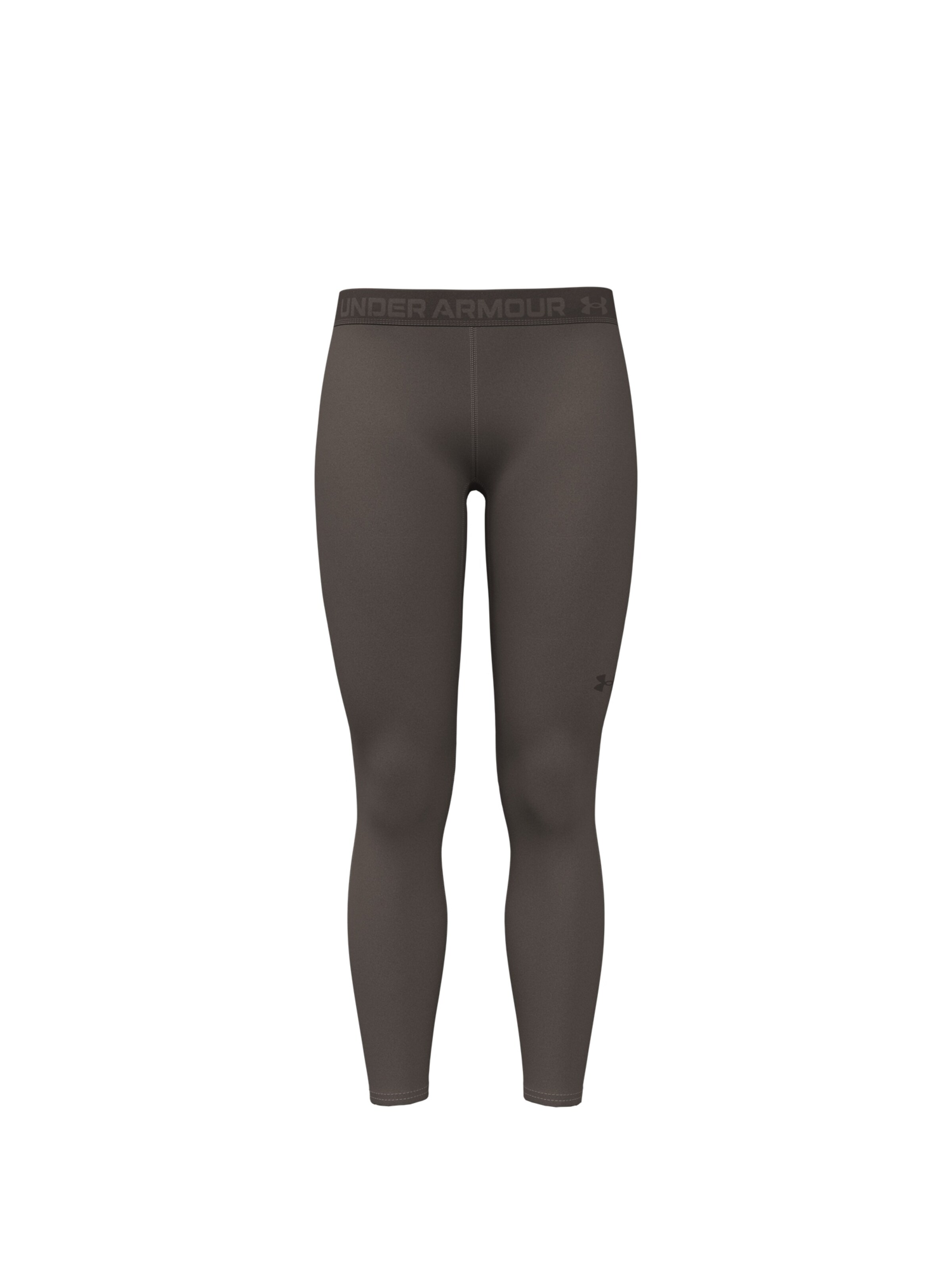 UNDER ARMOUR Sportbroek in Bruin: voorkant