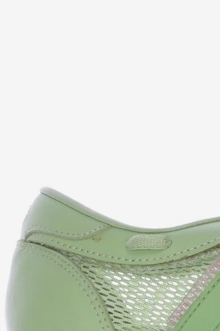 VENICE Sneakers & Trainers in 36 in Green