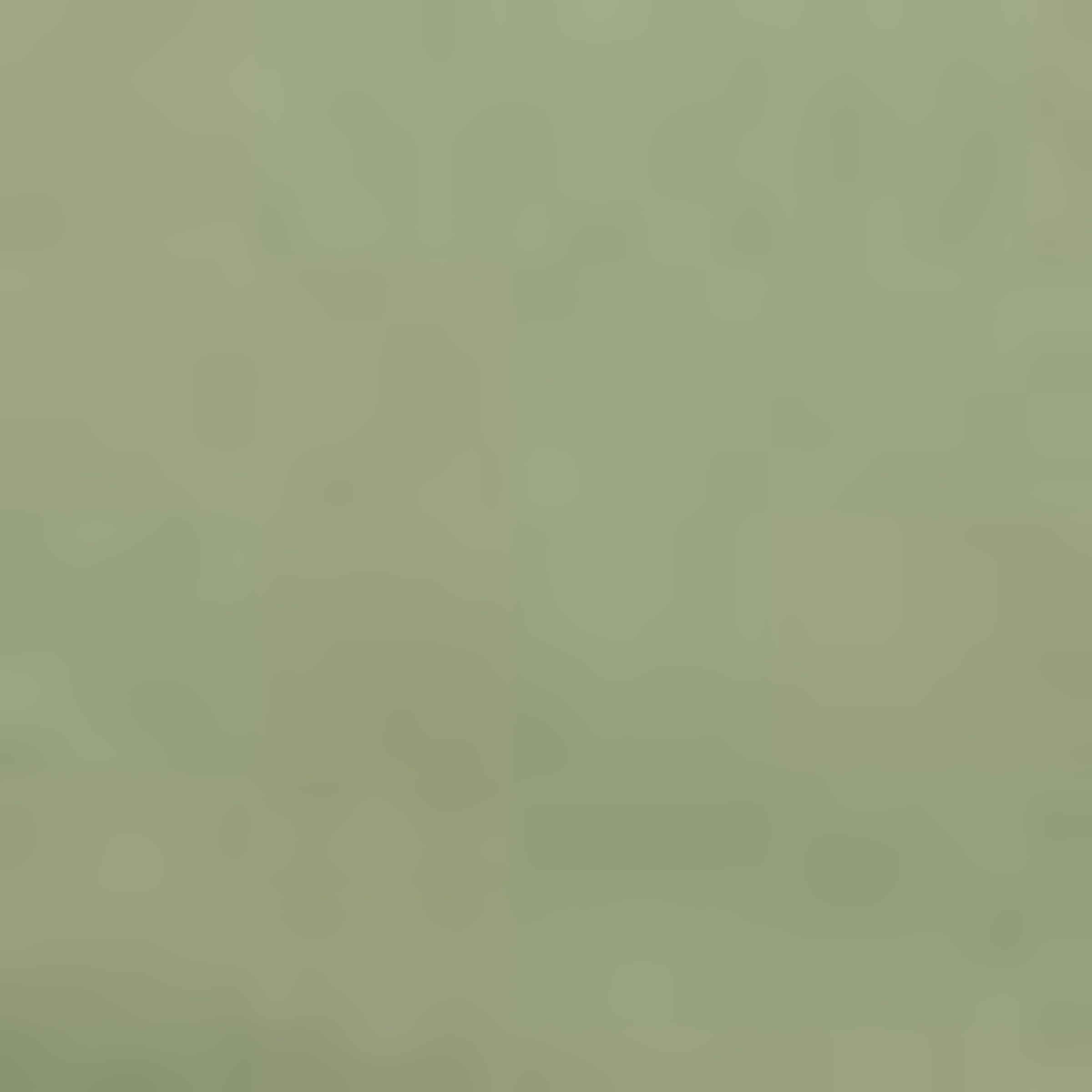 Maze Between-Season Jacket in Green