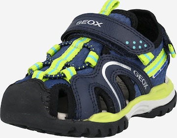 GEOX Open schoenen 'Borealis' in Blauw: voorkant