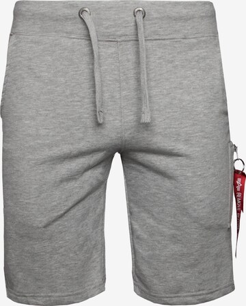 Pantalon cargo ALPHA INDUSTRIES en gris : devant