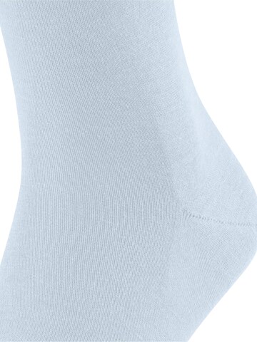 FALKE Socks 'Airport' in Blue