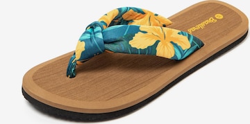 Brasileras Zehentrenner 'Hibiscus Nudo' in Grün: Vorderseite