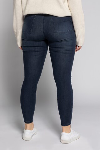 Studio Untold Regular Jeans in Blauw