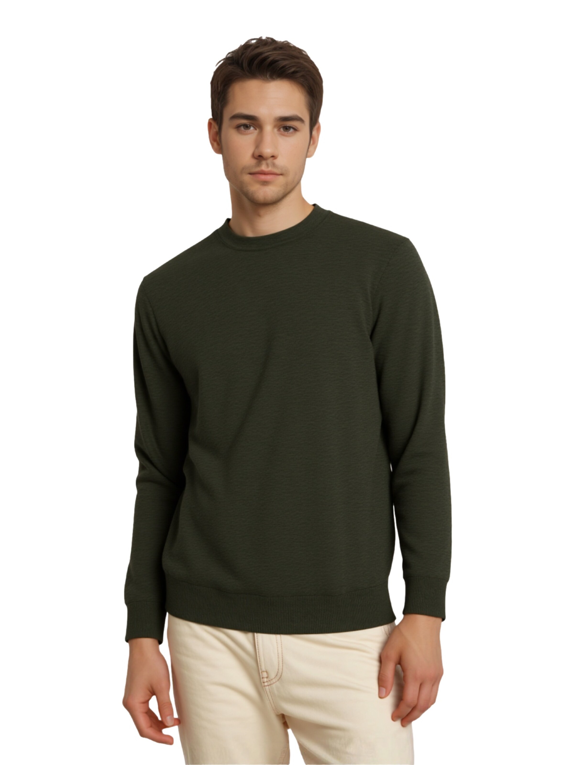 Jack & Jones Premium Pullover 'JPRMark' in Grün: Vorderseite