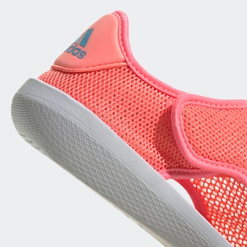 ADIDAS PERFORMANCE Beach & Pool Shoes 'Altaventure' in Red