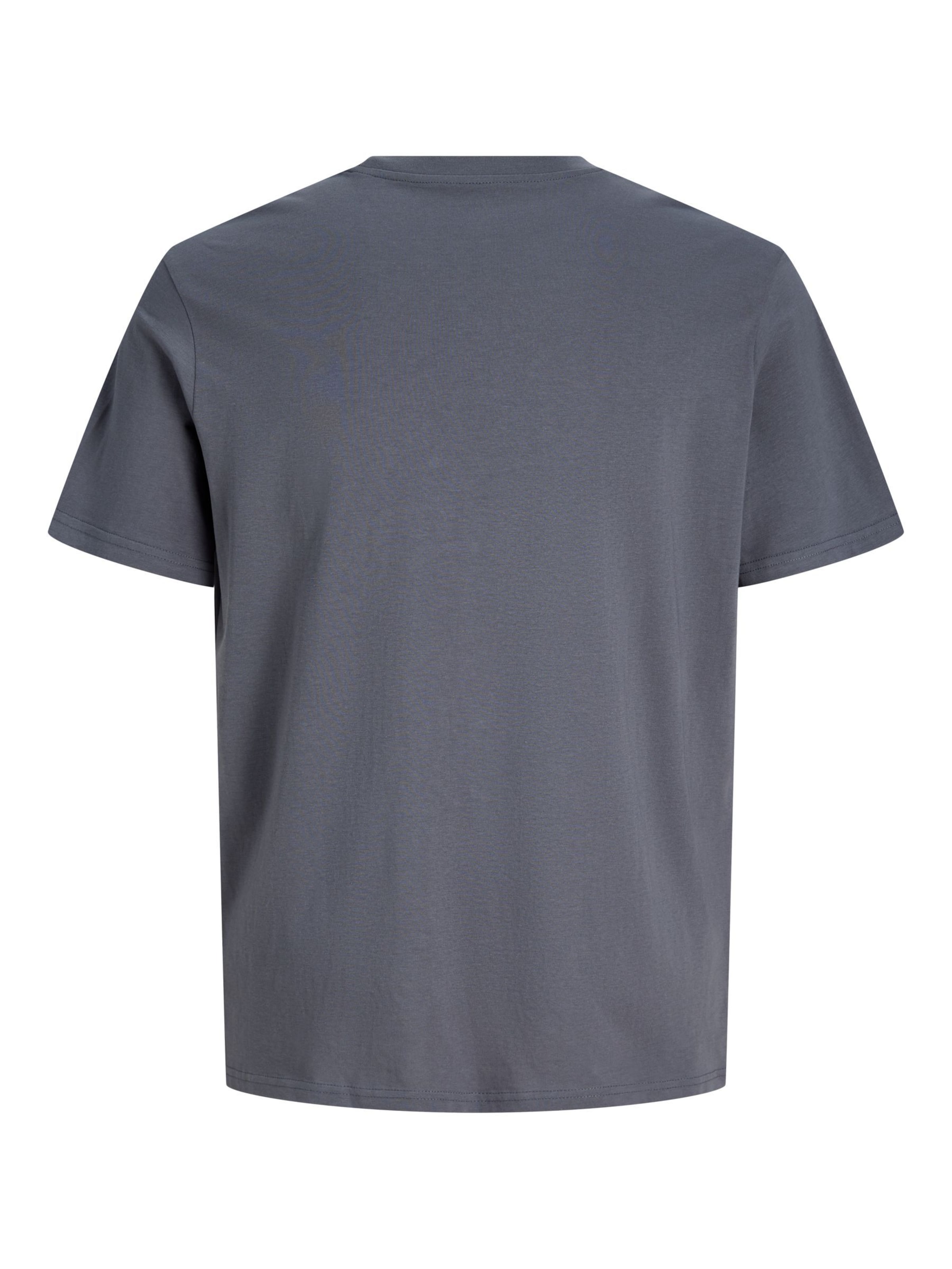T-Shirt 'JPRBLALucas' Jack & Jones Plus en gris