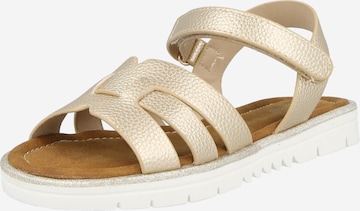 ABOUT YOU Sandal 'Bella' in Gold: front
