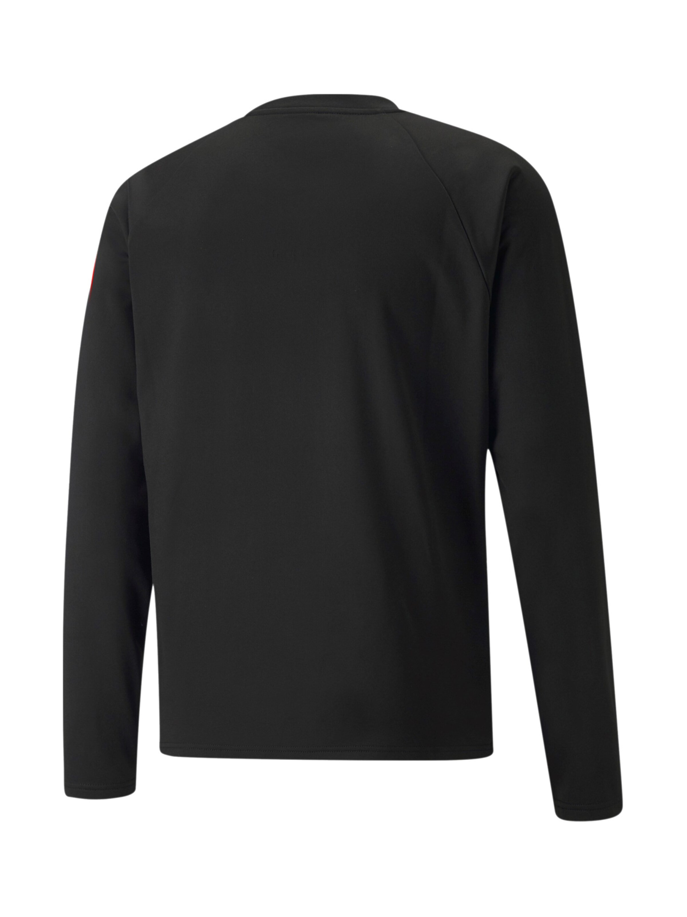 PUMA Performance Shirt 'TeamLiga' in Black
