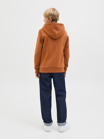 Jack & Jones Junior Sweatshirt 'JJARI' in Bruin