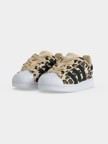 ADIDAS ORIGINALS Σνίκερ 'SUPERSTAR II' σε μπεζ