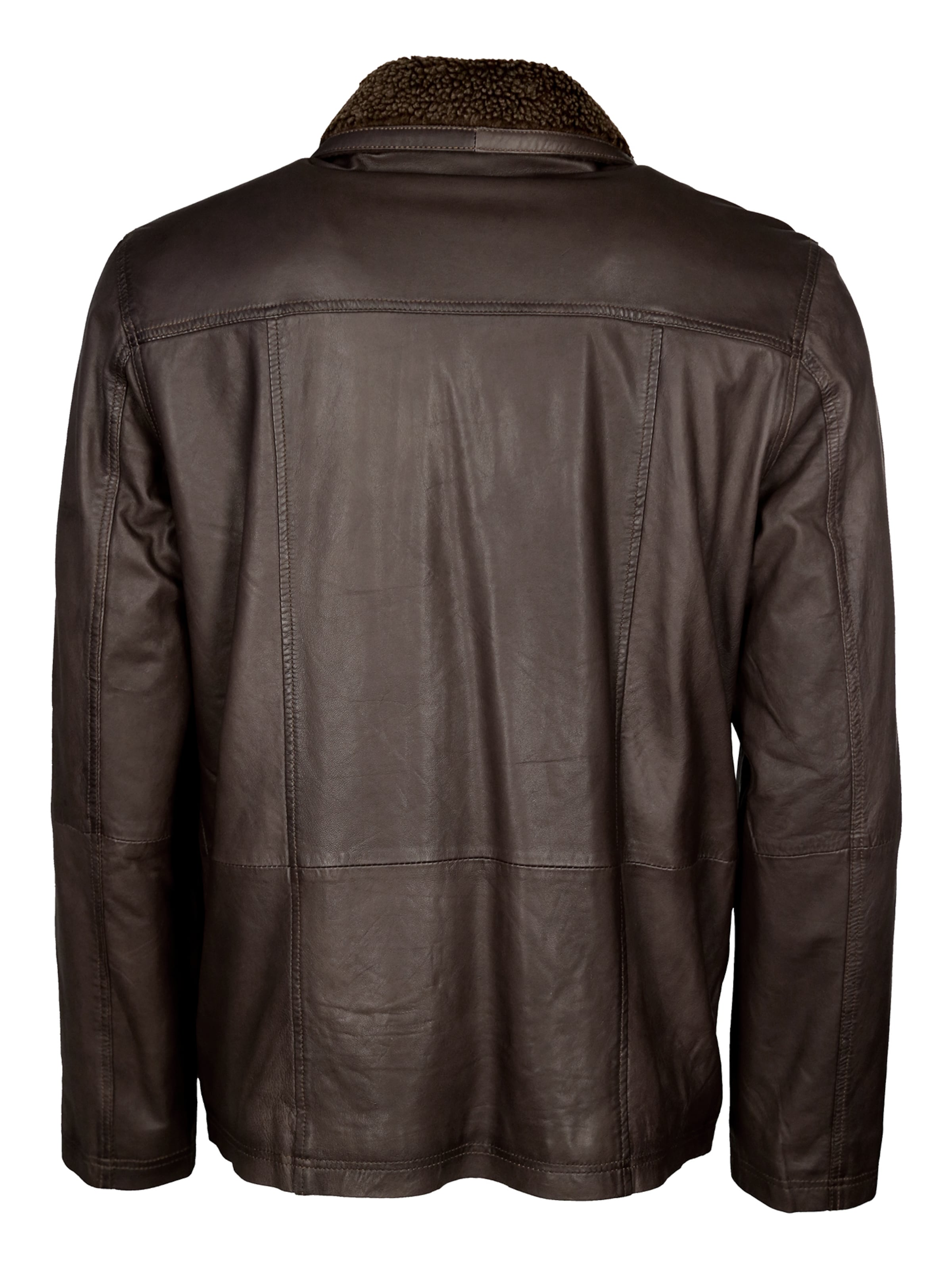 JCC Tussenjas 'MartinLN' in Bruin