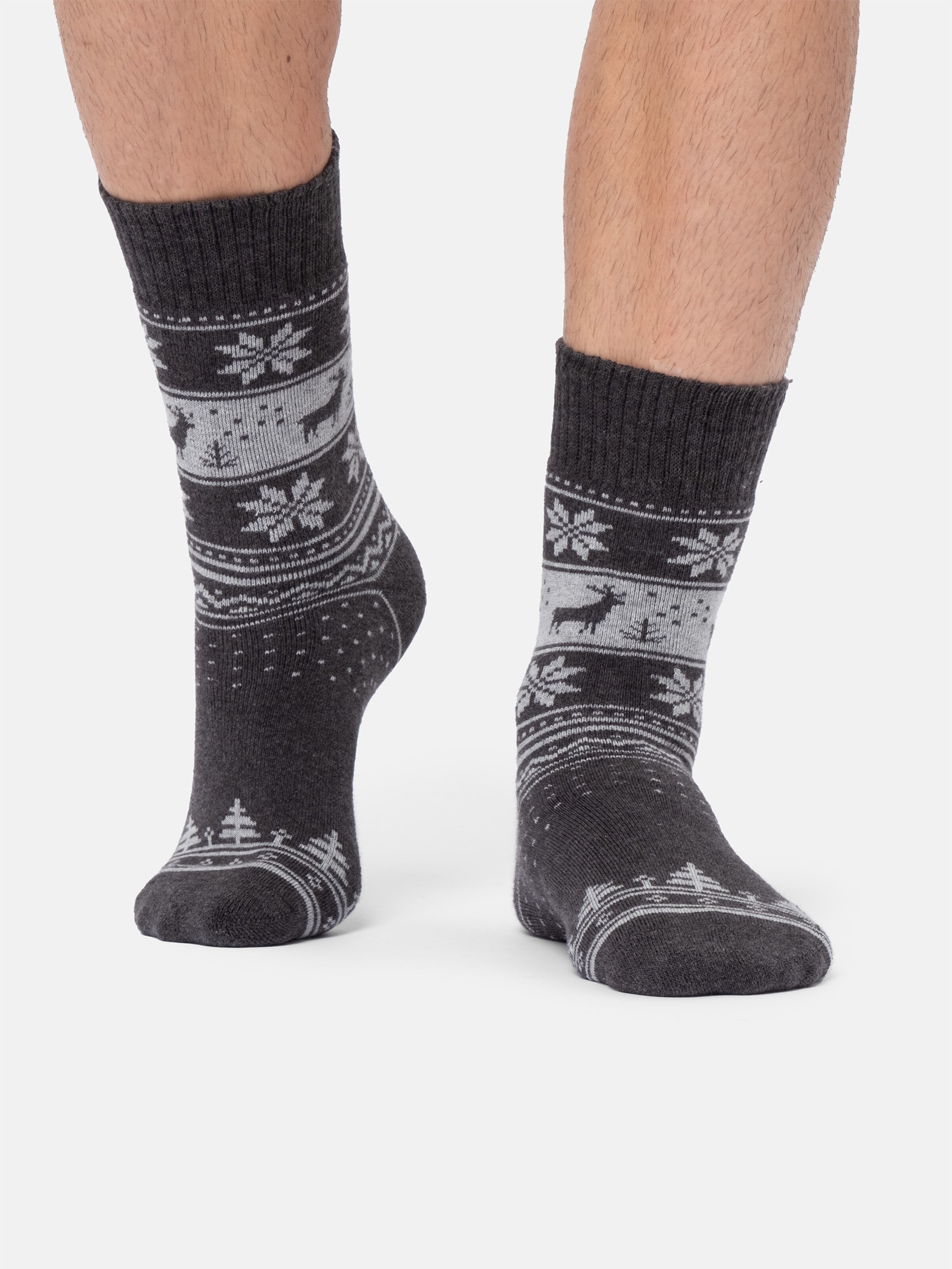 Occulto Socks 'Bille' in Grey: front
