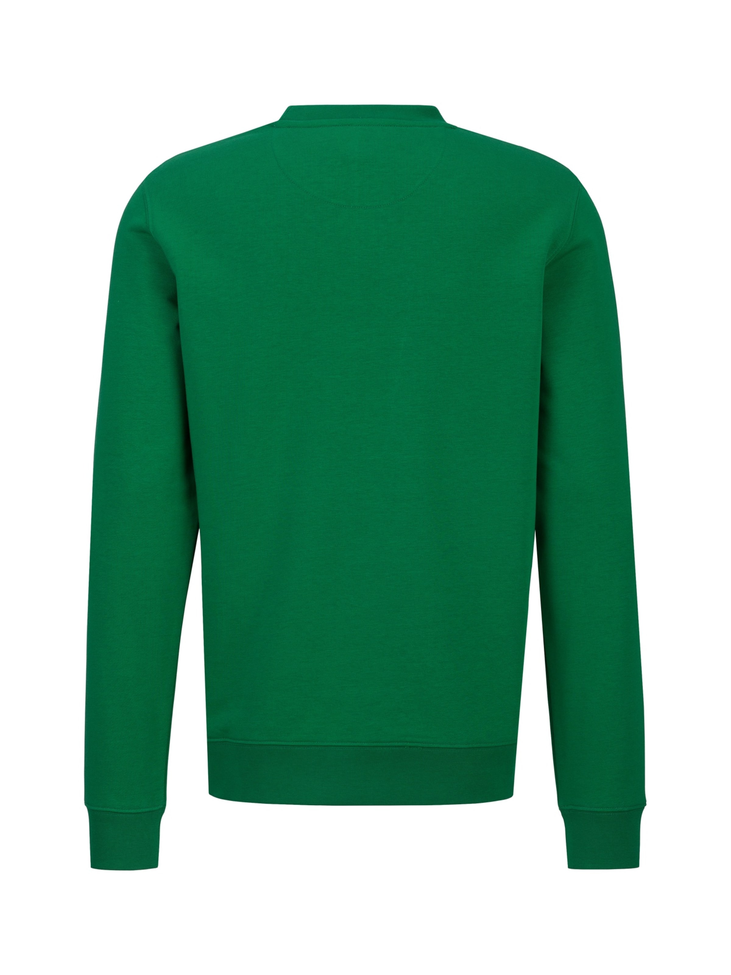 Sweat-shirt 'NICO' 19V69 ITALIA en vert