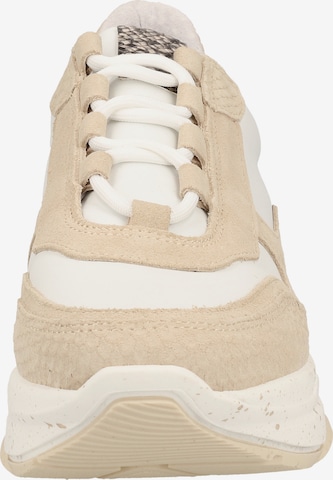 Baskets basses SPM en beige