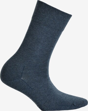 Hudson Socks in Blue