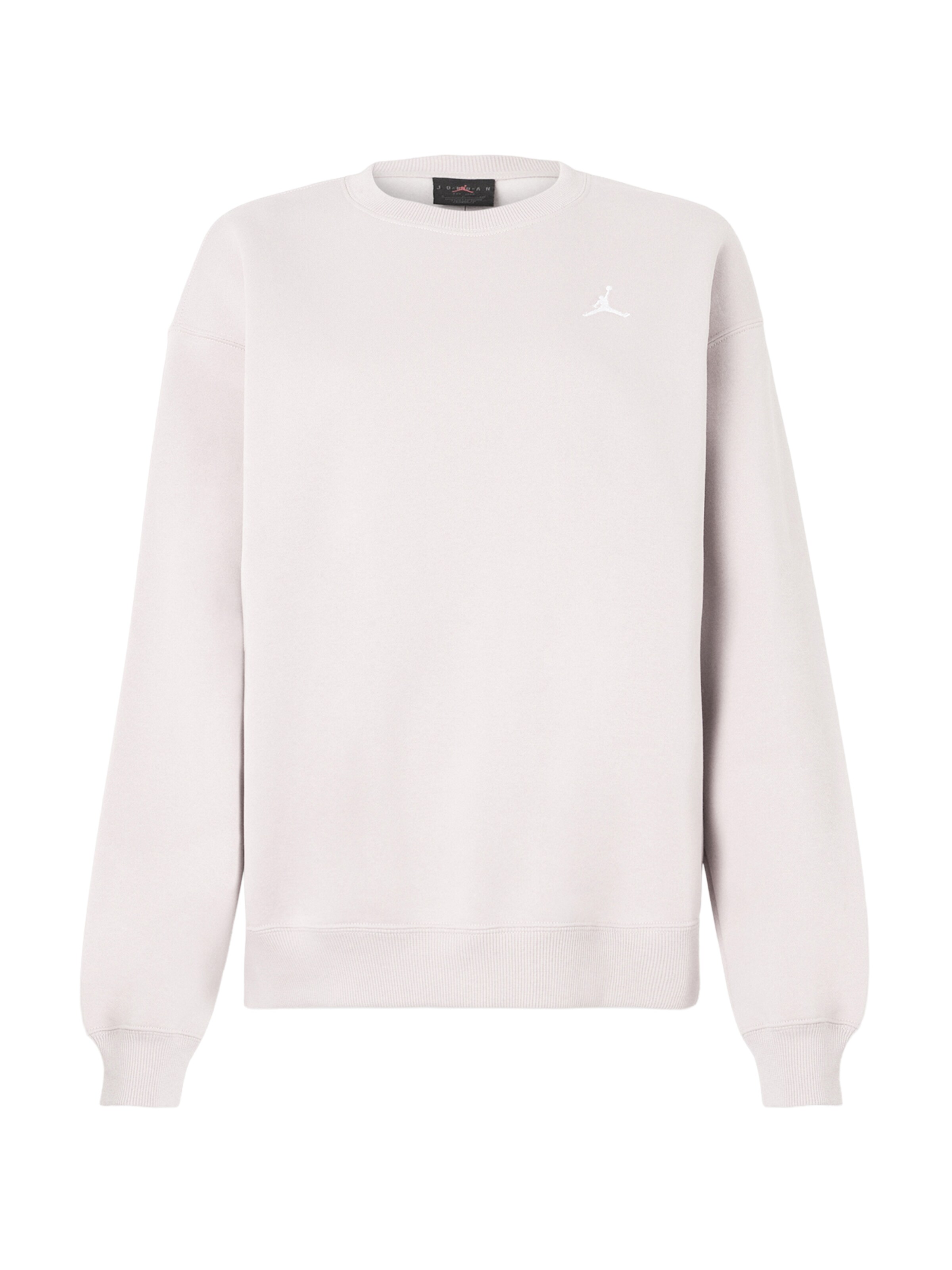 Jordan Свитшот 'BRKLN FLC' в Ярко-розовый: спереди