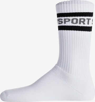 Calzino sportivo di Superdry in bianco