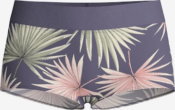 CALIDA Boyshorts 'Elastic Trend Spec.' in Grey: front