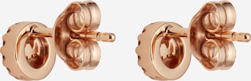 Michael Kors Earrings in Gold