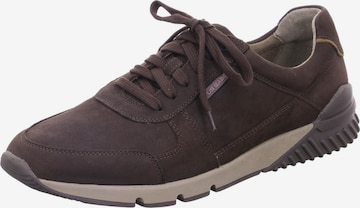 Pius Gabor Sneakers in Brown: front