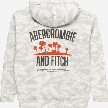 Abercrombie & Fitch Sweatshirt in Grijs