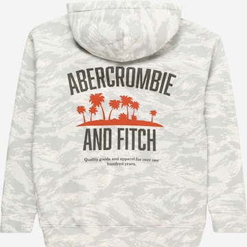 Abercrombie & Fitch Bluza w kolorze szary