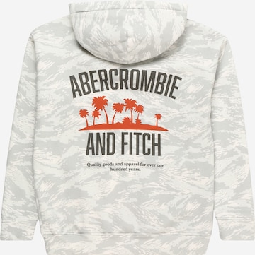 Abercrombie & Fitch Sweatshirt in Grey