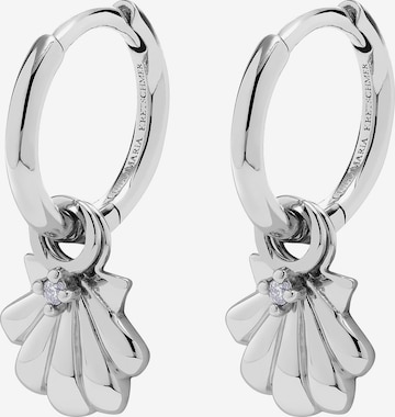 Guido Maria Kretschmer Jewellery Earrings in Silver: front