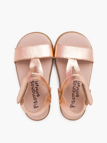 Sandales Pisamonas en marron