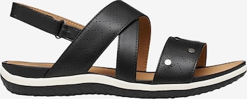 Sandalo di GEOX in nero: frontale