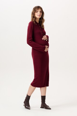 Noppies Kleid in Rot