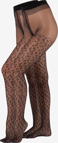 camano Fine Tights 'Leo' in Black: front