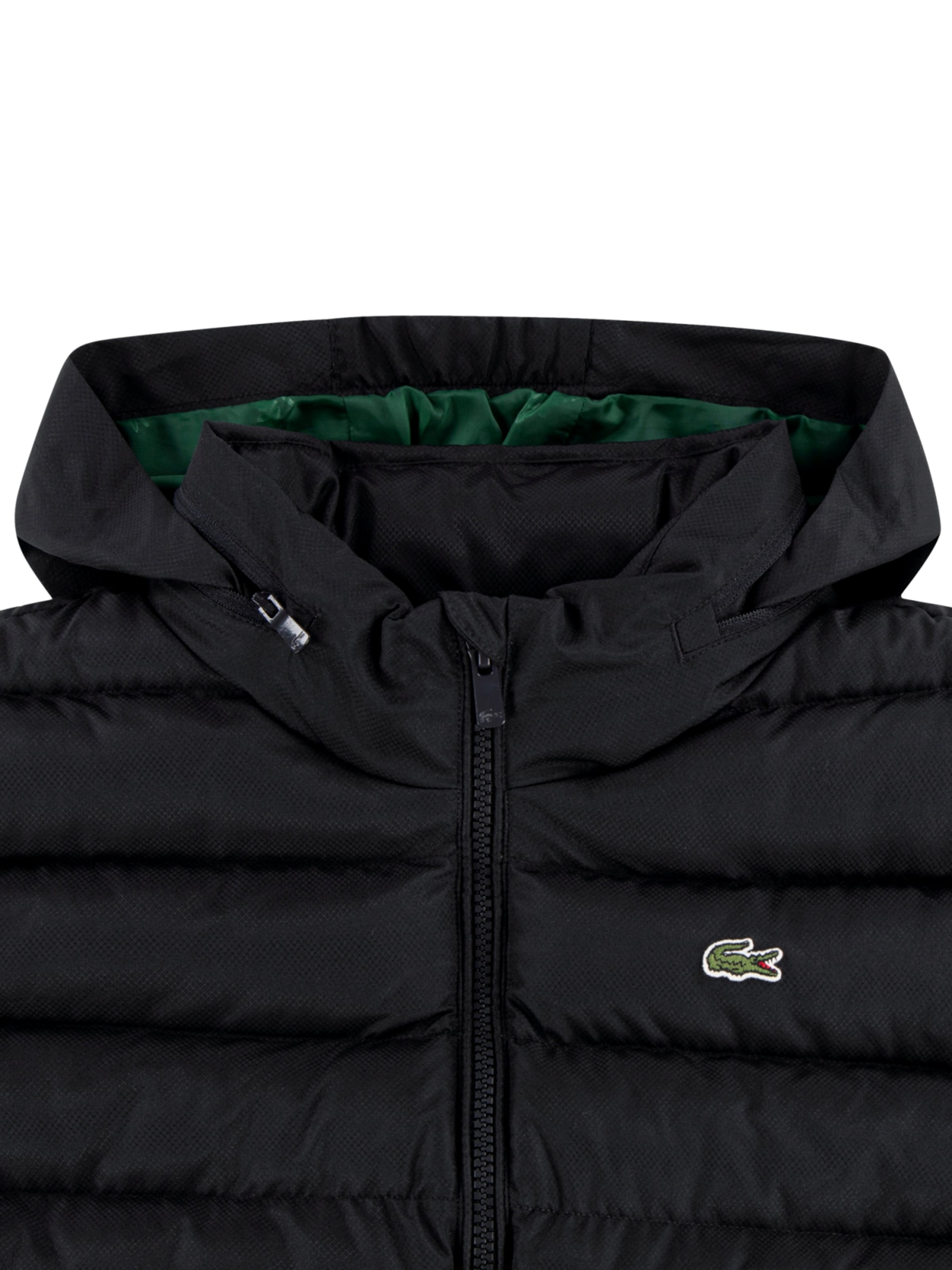 Giacca invernale di LACOSTE in nero