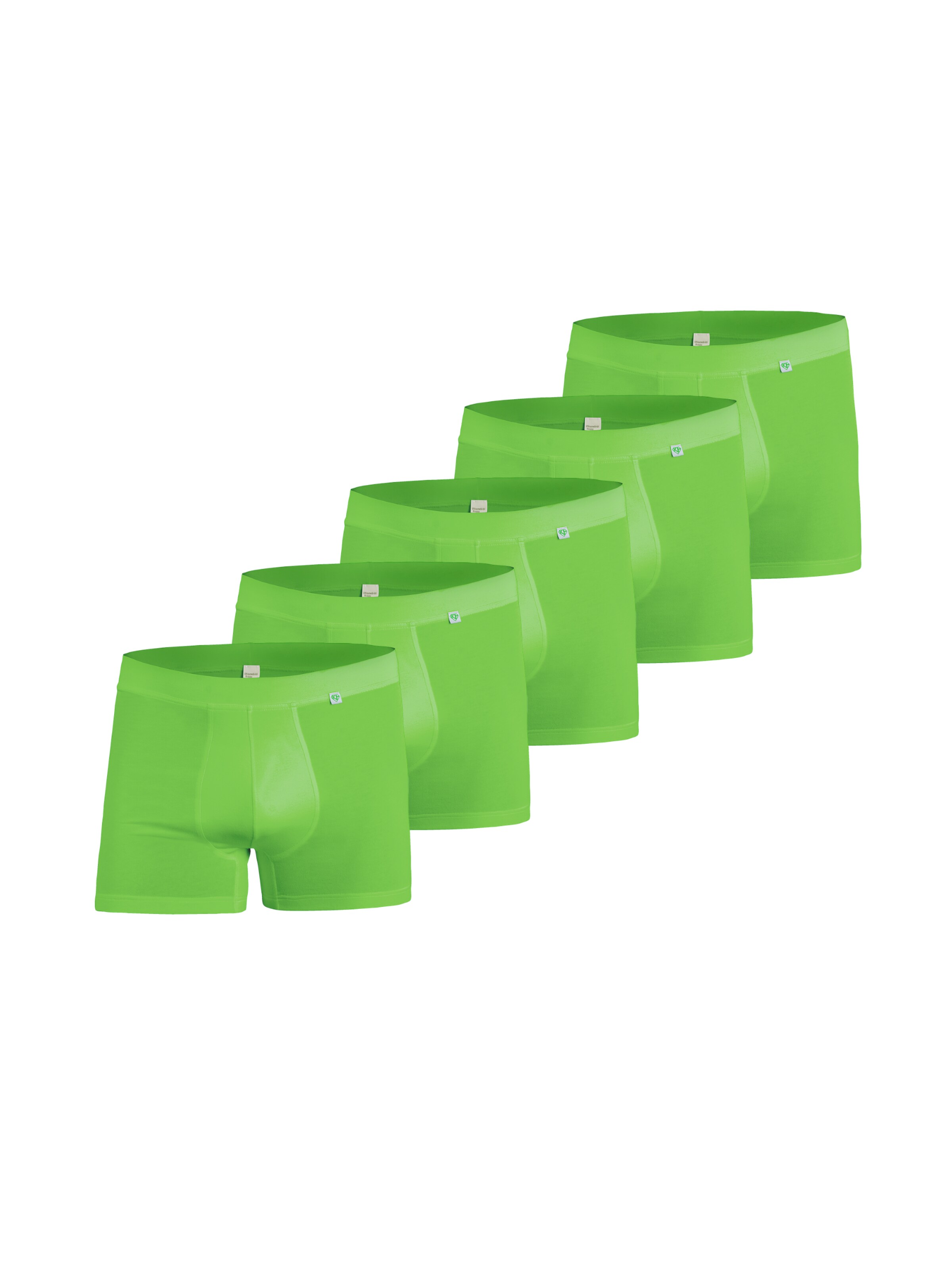 kleiderhelden Boxer shorts 'Beatbux 5er' in Grass green, Item view