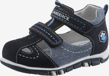 Lumberjack Sandals & Slippers in Blue: front