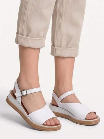 Maciejka Sandals 'L7629-11/00-1' in White