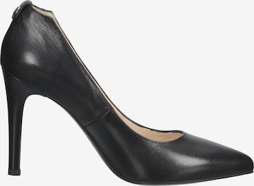 Nero Giardini Pumps 'Dimona' in Black