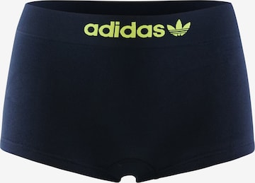 ADIDAS ORIGINALS Boyshorts ' Smart & Novel ' in Blue: front