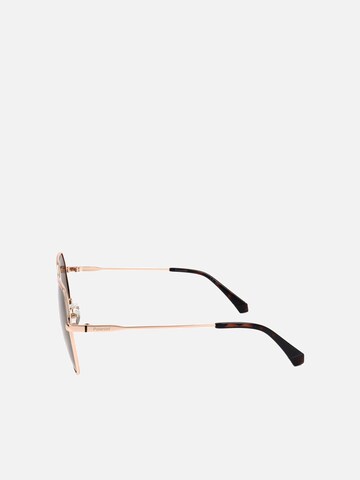 Polaroid Sunglasses in Gold
