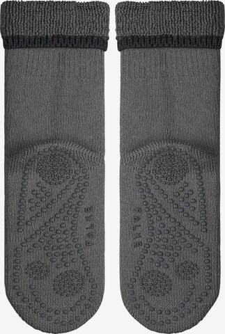 FALKE Socken 'Cuddle Pads' in Grau: Vorderseite