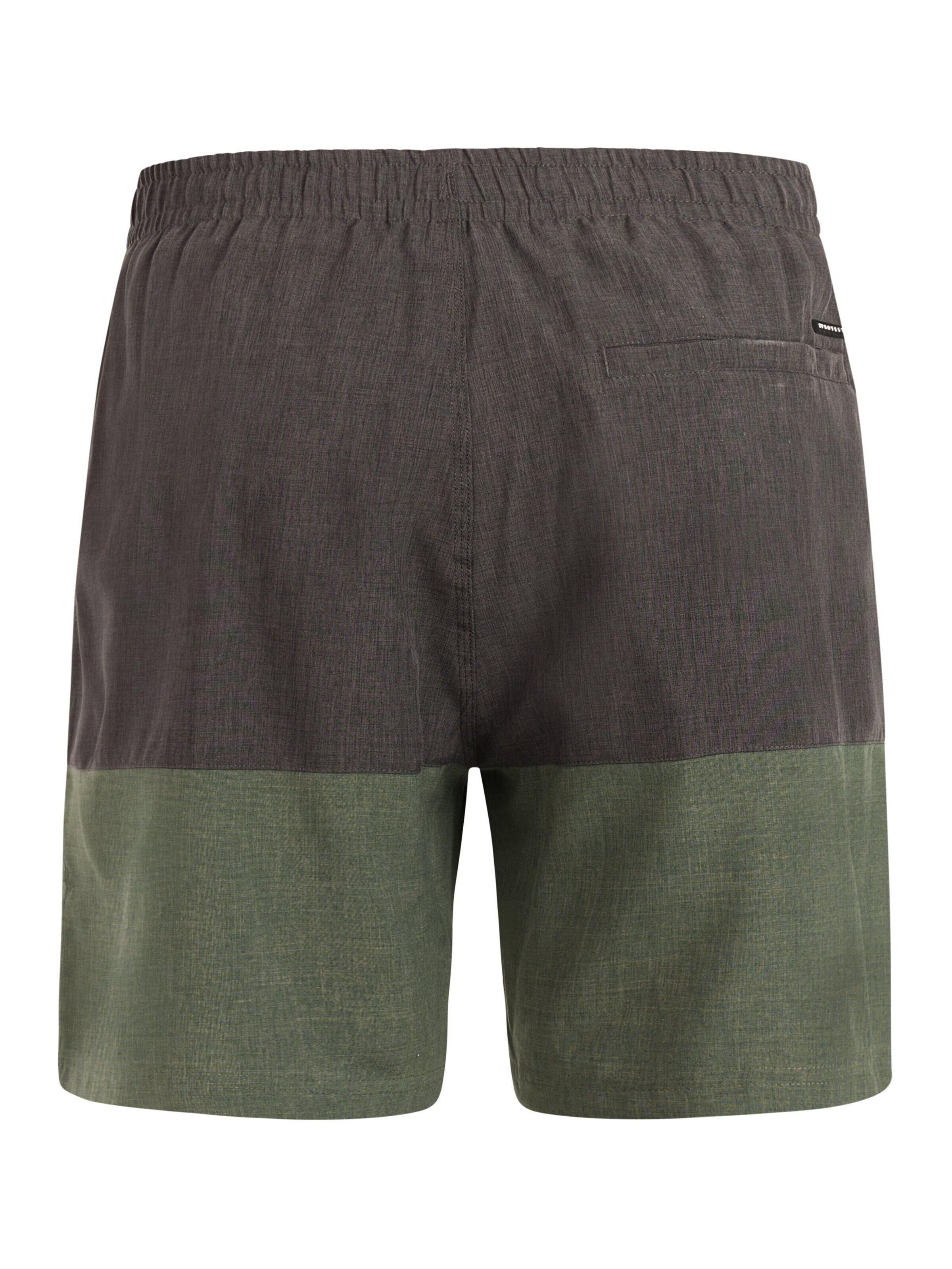 PROTEST Board Shorts 'PRTCabus' in Green