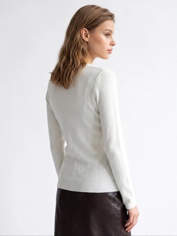 Pullover di MixRay in marrone