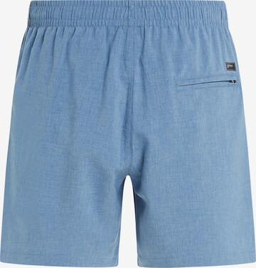 PROTEST Board Shorts 'Davey' in Blue