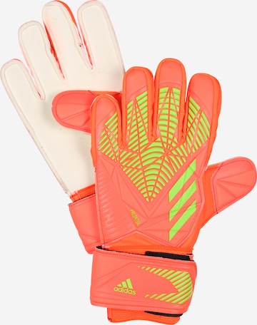 ADIDAS PERFORMANCE Athletic Gloves 'Predator' in Orange: front