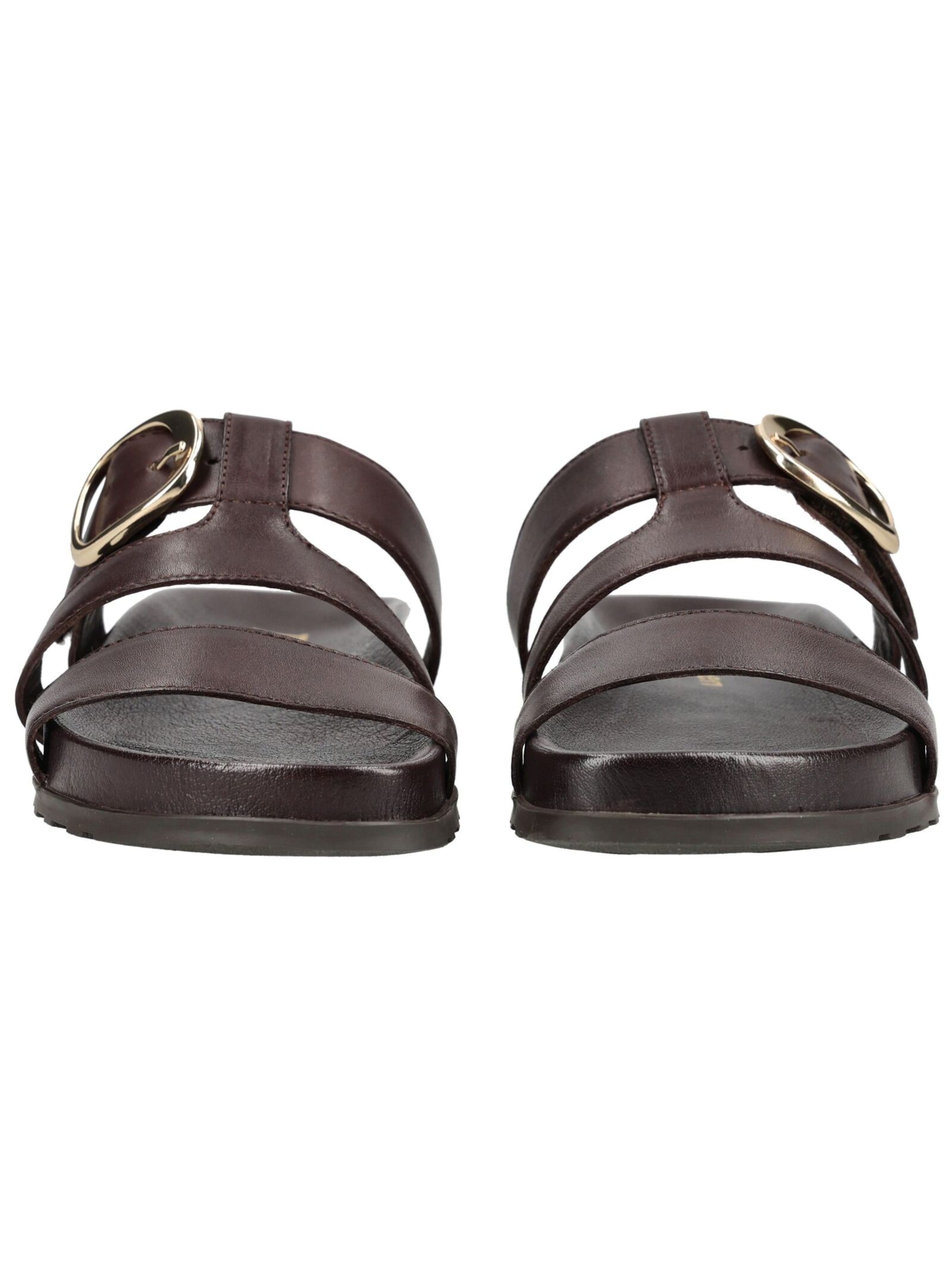 Paul Green Muiltjes in Bruin