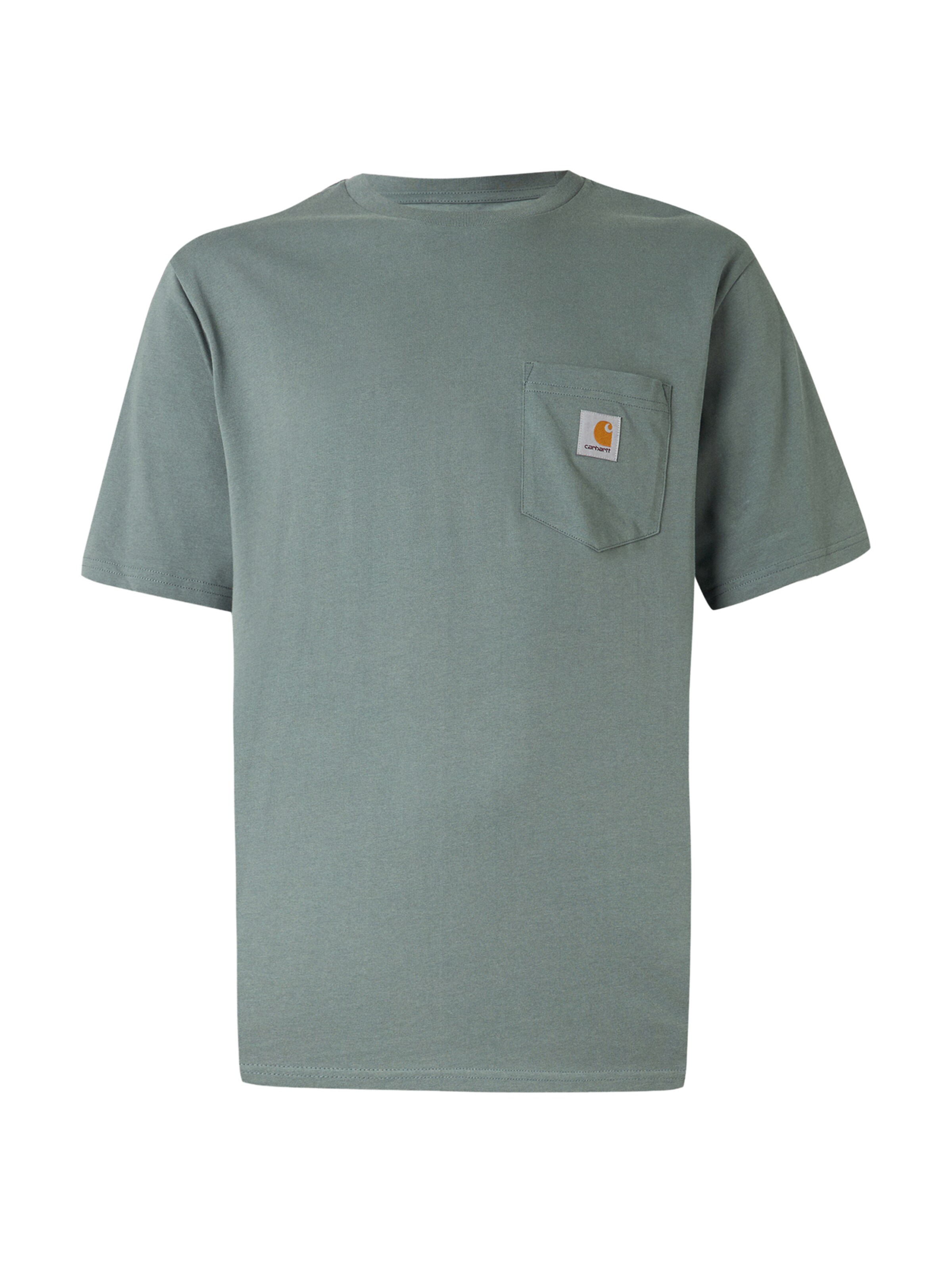 Carhartt WIP T-Shirt in Grün: Vorderseite