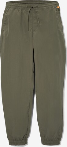 TIMBERLAND Tapered Broek in Groen: voorkant