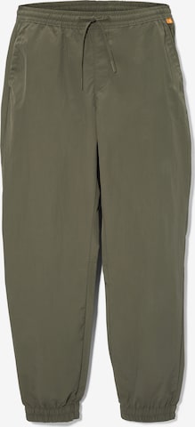 TIMBERLAND Tapered Hose in Grün: predná strana